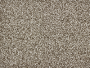 Рулонное ковровое покрытие Аполлон  1050