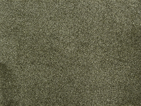 Рулонное ковровое покрытие Афродита 1021