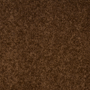 Рулонное ковровое покрытие Гера 1081