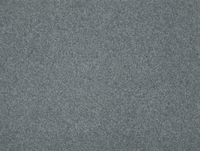 Рулонное ковровое покрытие Гермес 1091