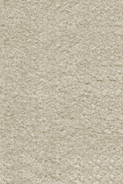 Рулонное ковровое покрытие Пауль 1159